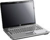 Greening Computer Services - Laptops